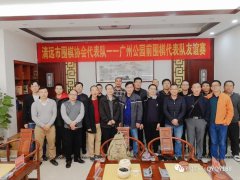 清远市围棋协会代表队与广州公园前围棋代表队首次友谊赛